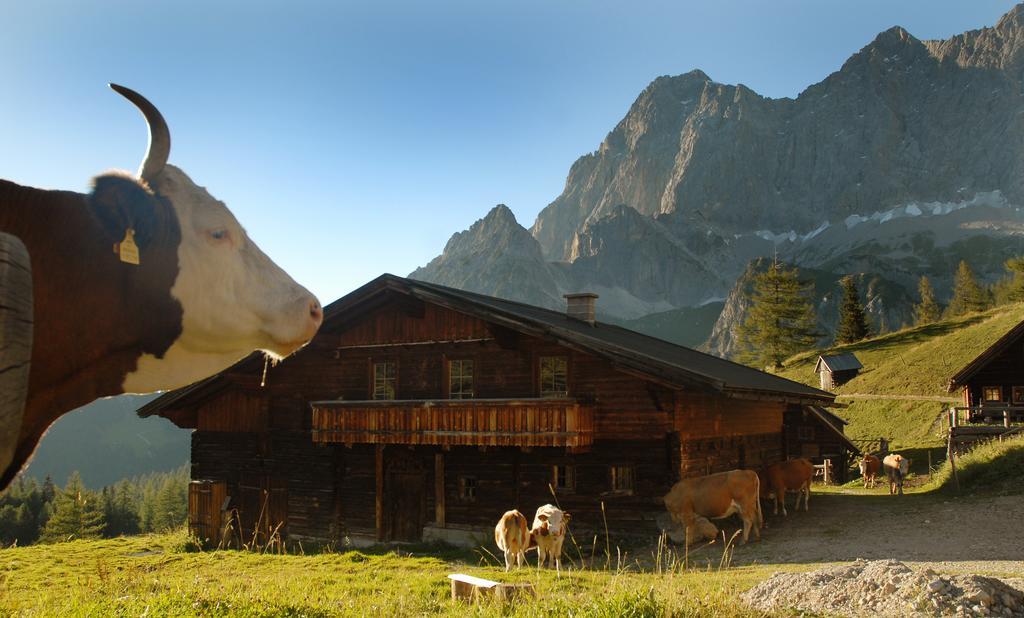 Haus Bergzauber Apartment Ramsau am Dachstein Exterior photo